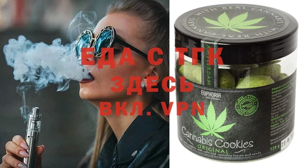 тгк Горнозаводск